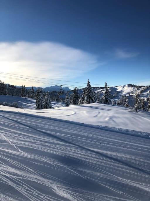 Chalet Milou Les Gets Bagian luar foto